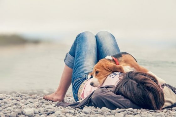 Zachowanie psa - 10 rzeczy, które robi twój pies i co one oznaczają
