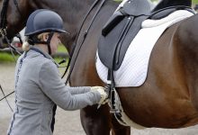 Jak osiodłać konia - procedura i porady