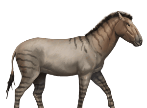 Konie prehistoryczne - 10 koni prehistorycznych