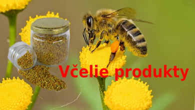Produkty pszczele - Miód, Wosk pszczeli, Propolis, Mleczko pszczele